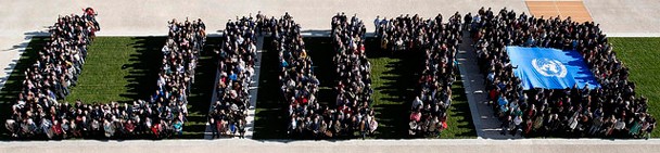 “Open Day” held in Geneva for UN 70 celebration - ảnh 1